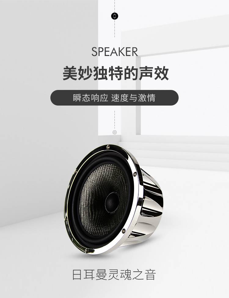 德国RS Master MKⅡ 3 way platinum 详情图