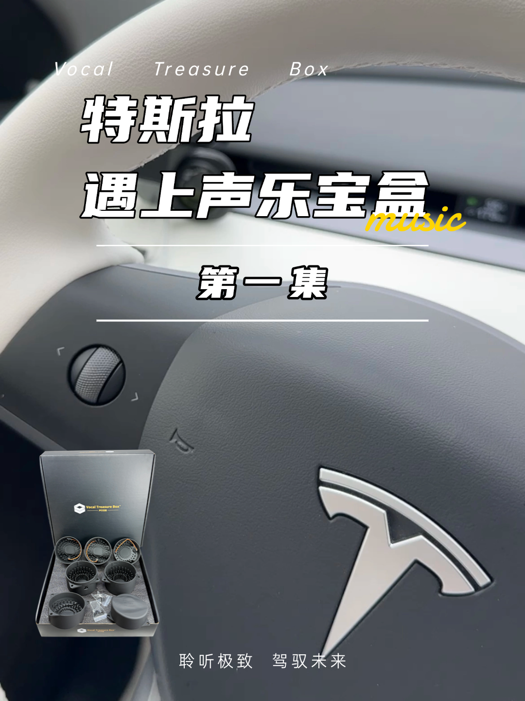 特斯拉Model Y 声乐宝盒汽车音响中音喇叭无损改装声学套件